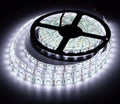 Cinta LED 5050 Blanco 6000k ip20 5 metros